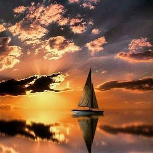 Meet your Posher, Janet